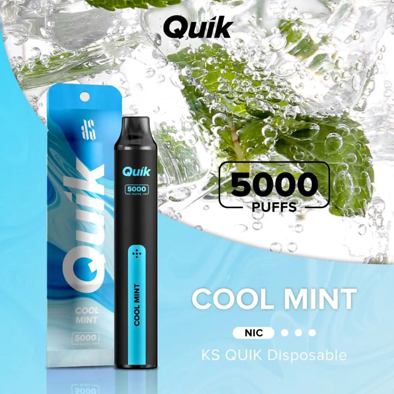 Quik Easy Refillable Vape with Type C Charging - 5000 Puffs-(Without Box)