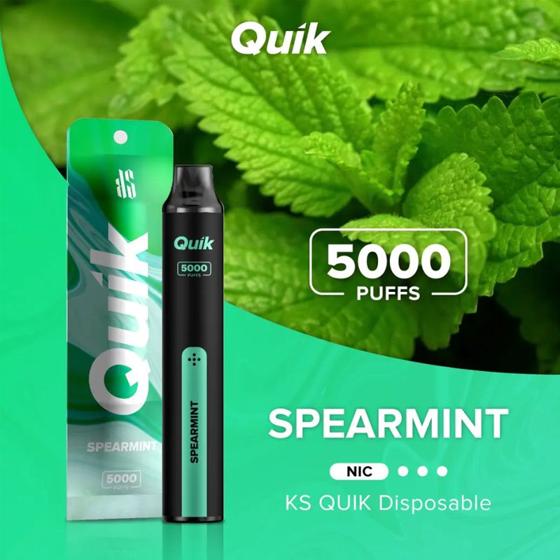 Quik Easy Refillable Vape with Type C Charging - 5000 Puffs-(Without Box)