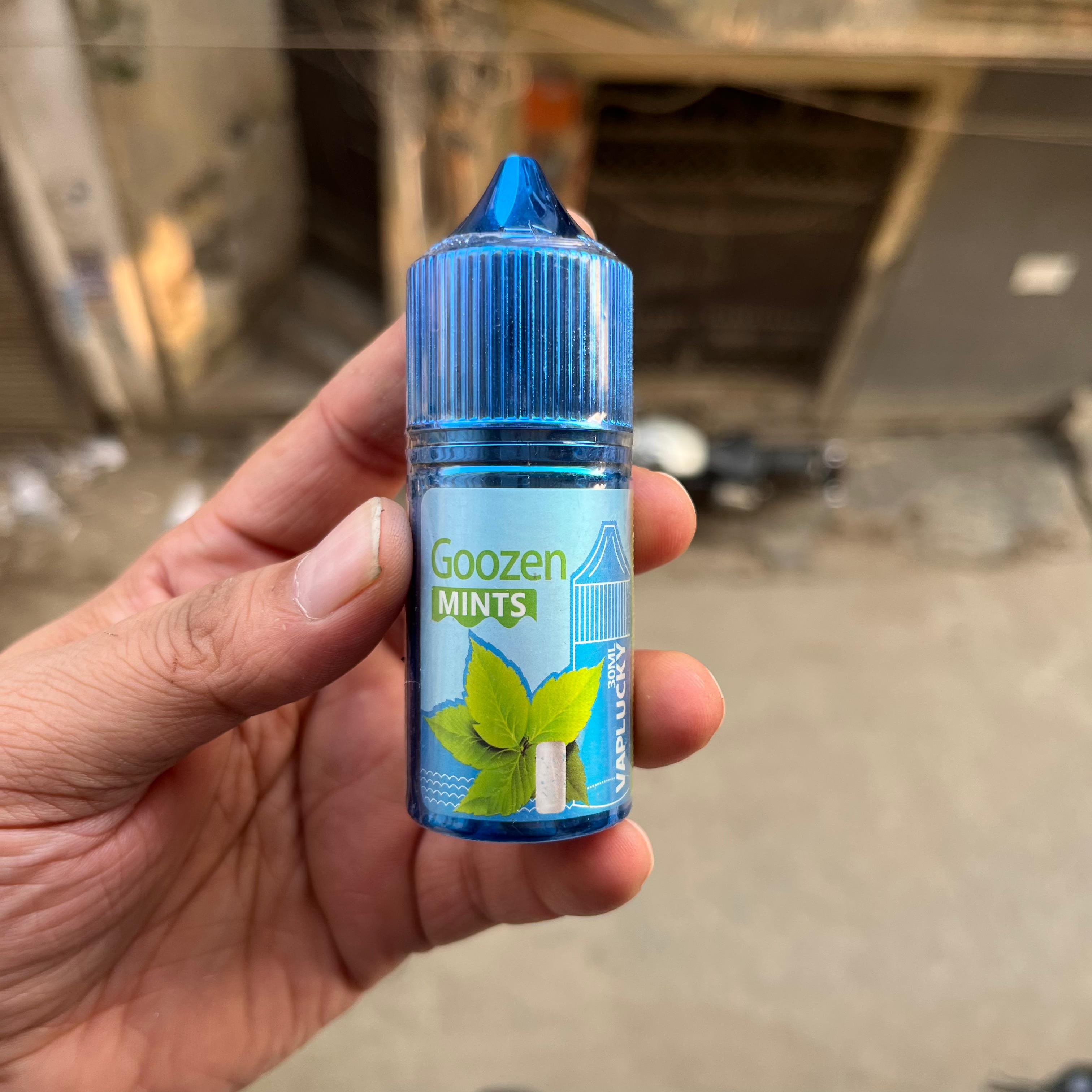 Vaplucky Goozen Imported Liquid Flavour Juice 30ml - Mint